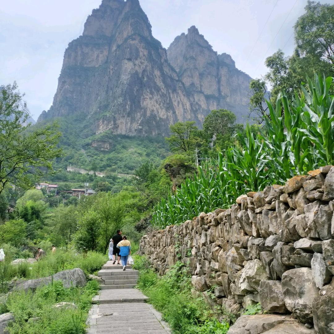 我的心里只有你