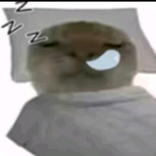 再也不熬夜了（已老实）