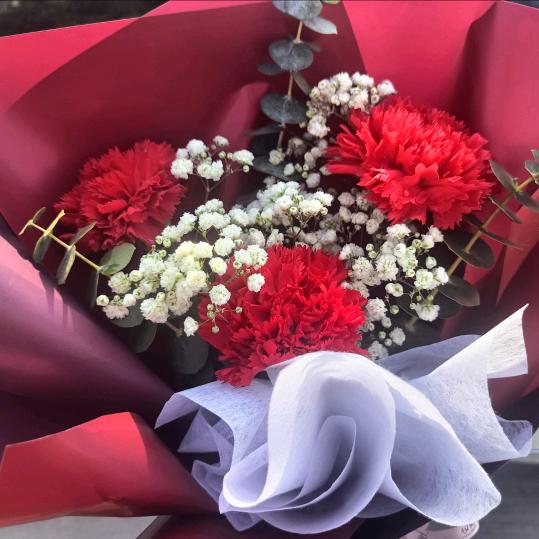 风华依旧笑春风