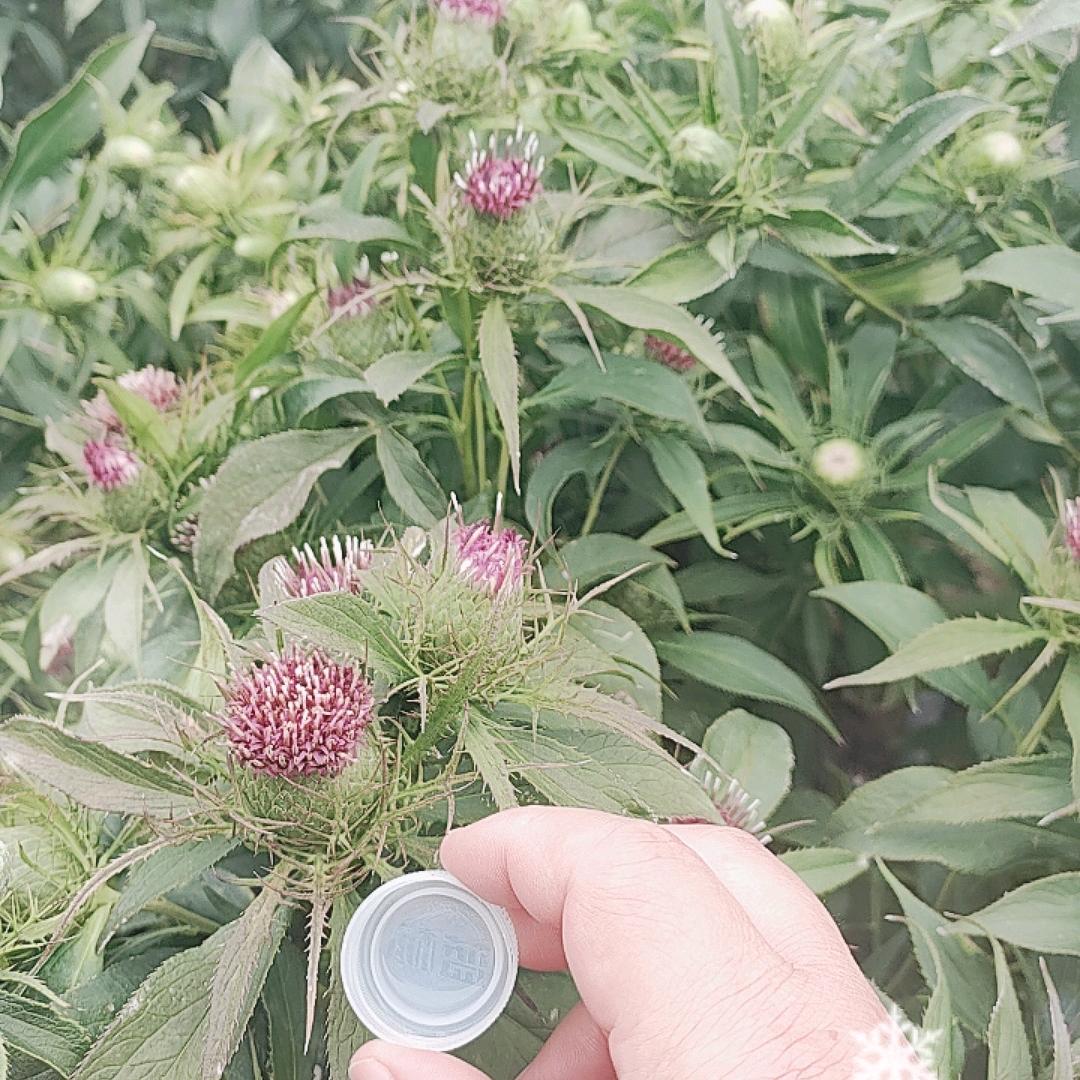 行唐县军鹏家庭农场