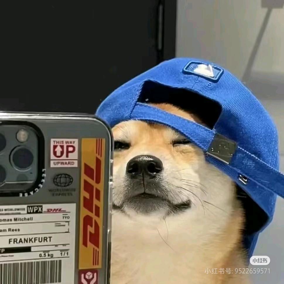 交院小威学长