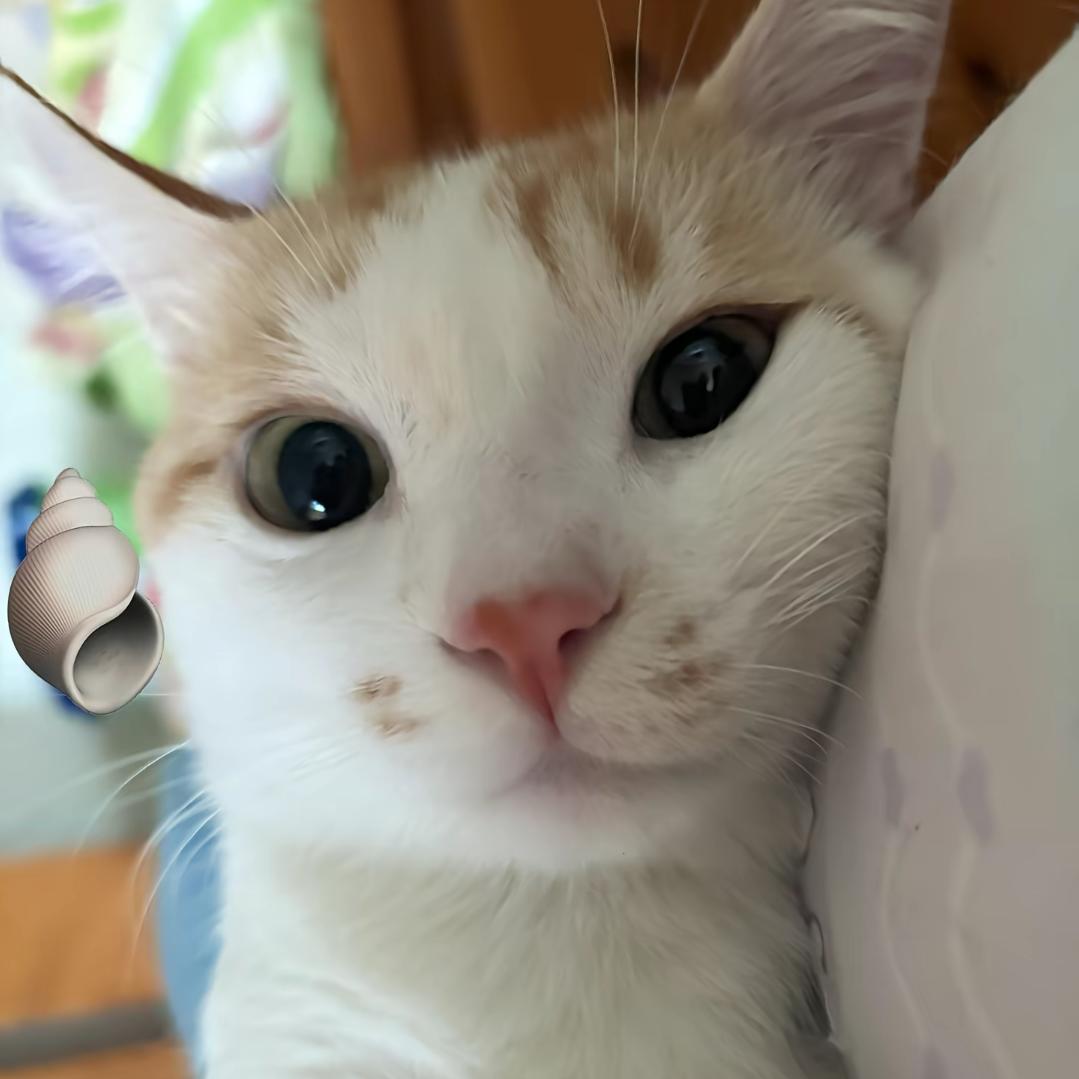想我请来信