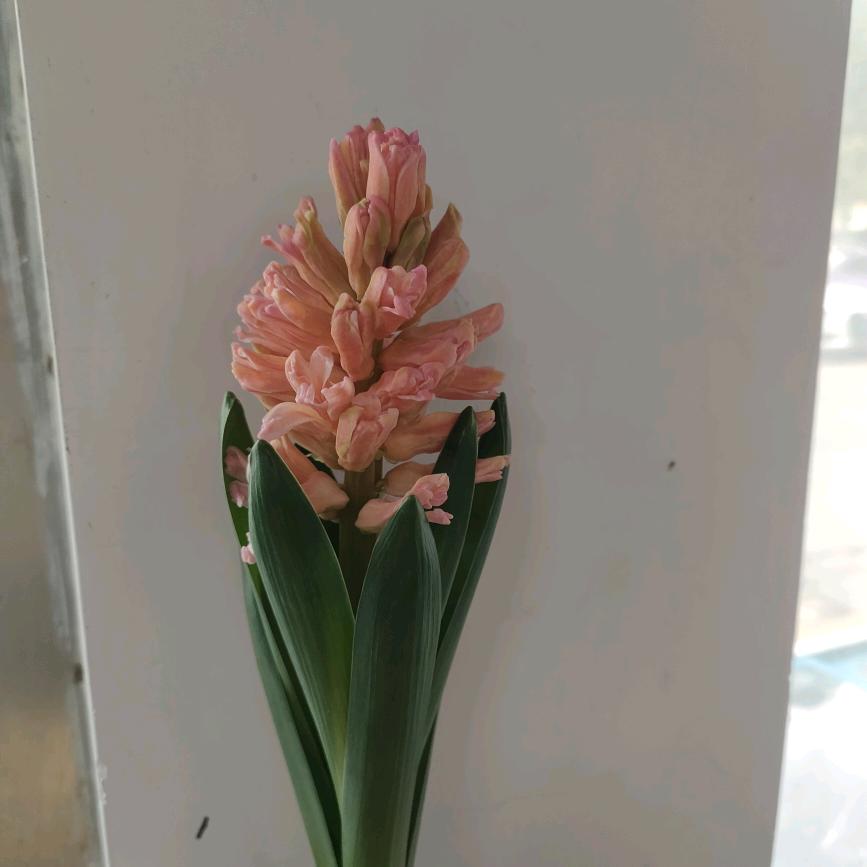 孤独