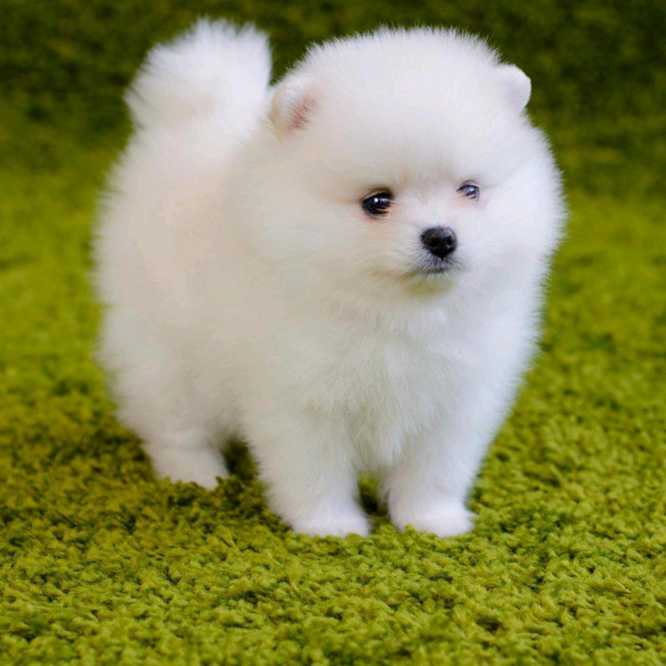 小陆妹