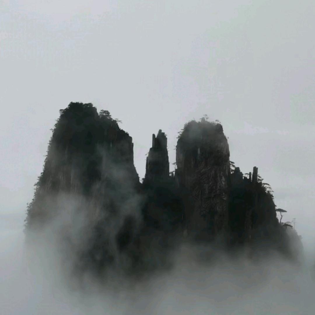 周村金桥阿慧