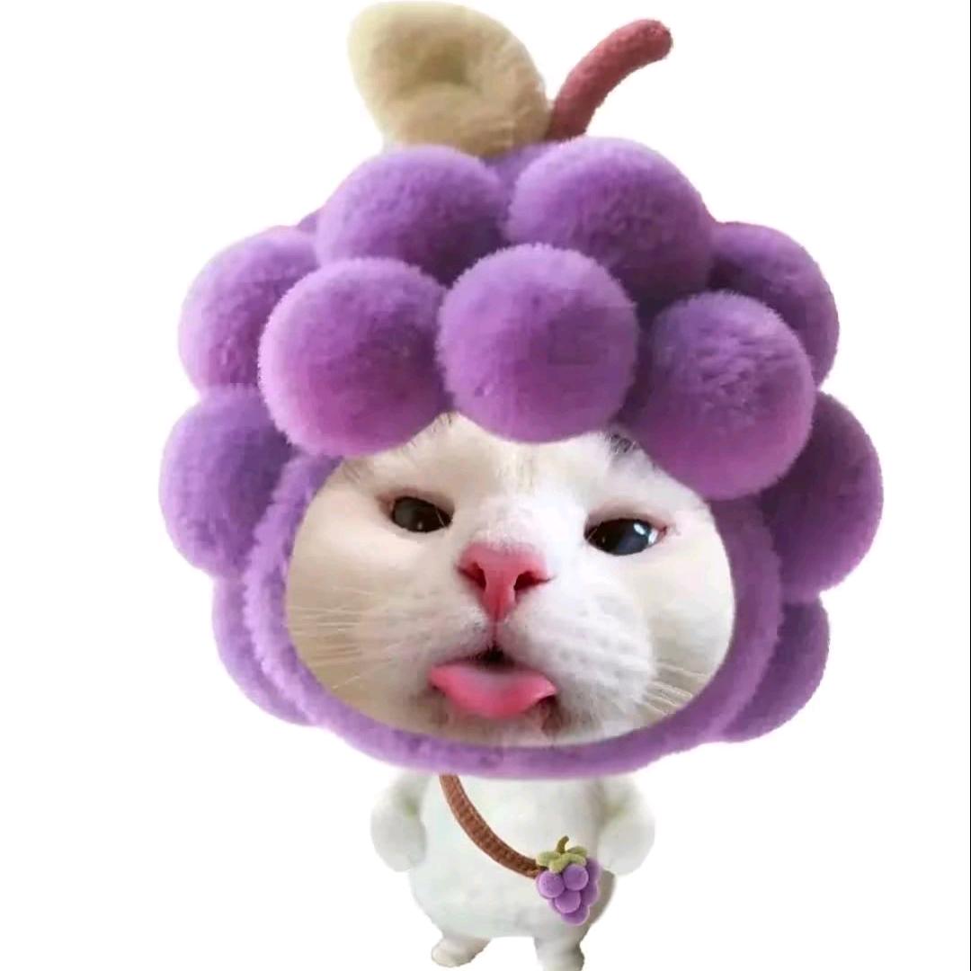 啦啦啦