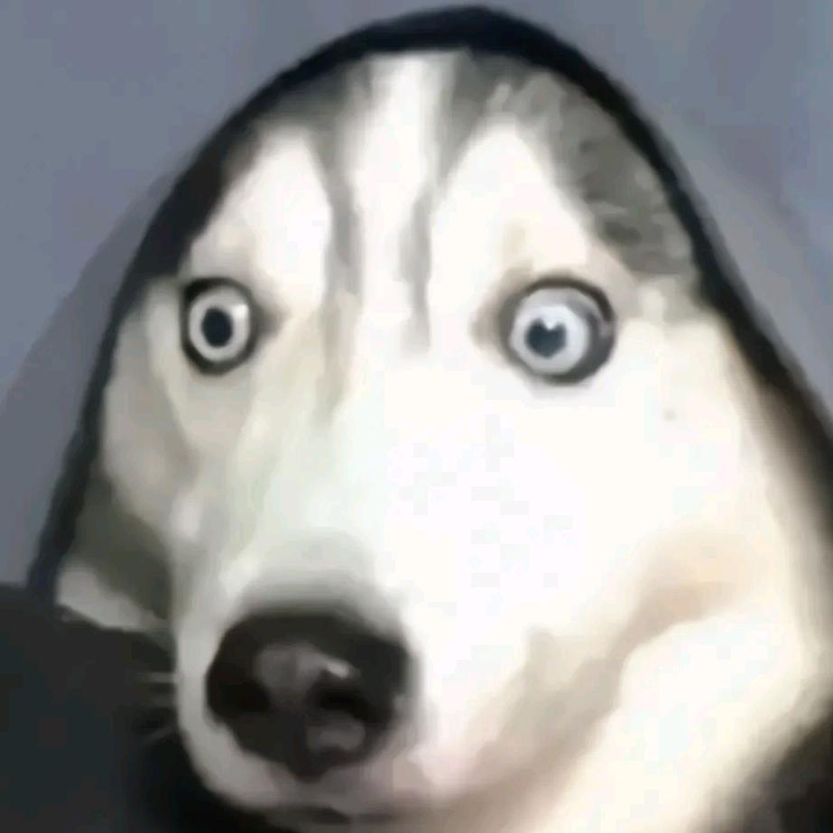 卬头像