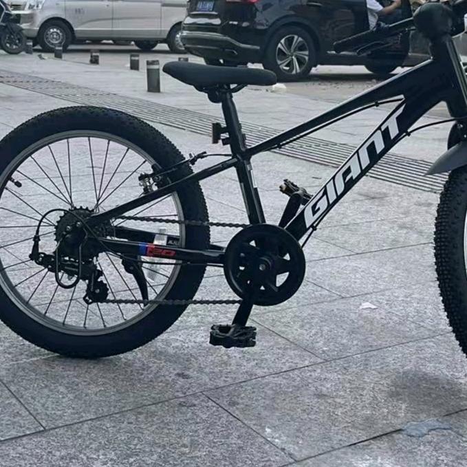 捷安特丽以芙自行车