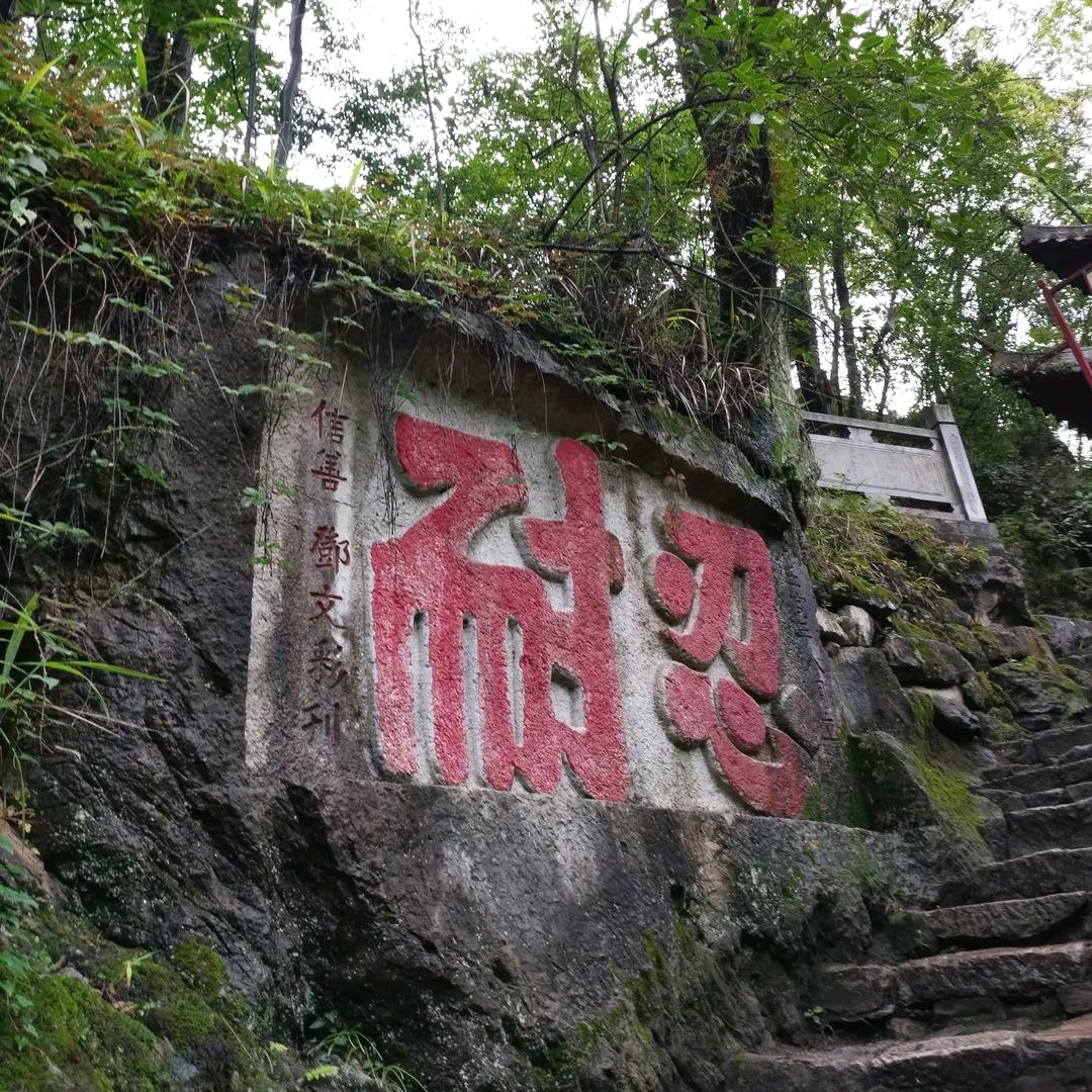 绿野