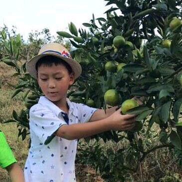 汪军（广东东莞）