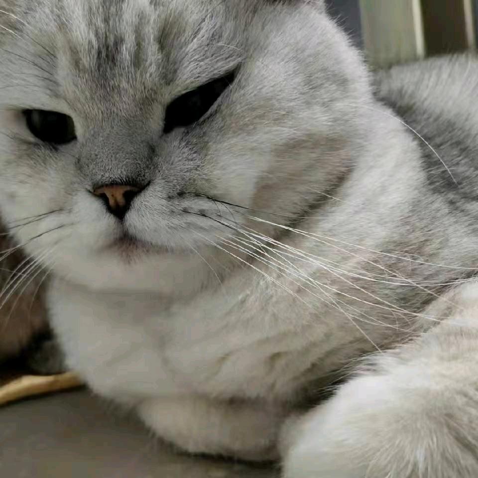 《小陈》