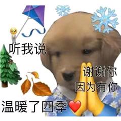 阳阳得意..
