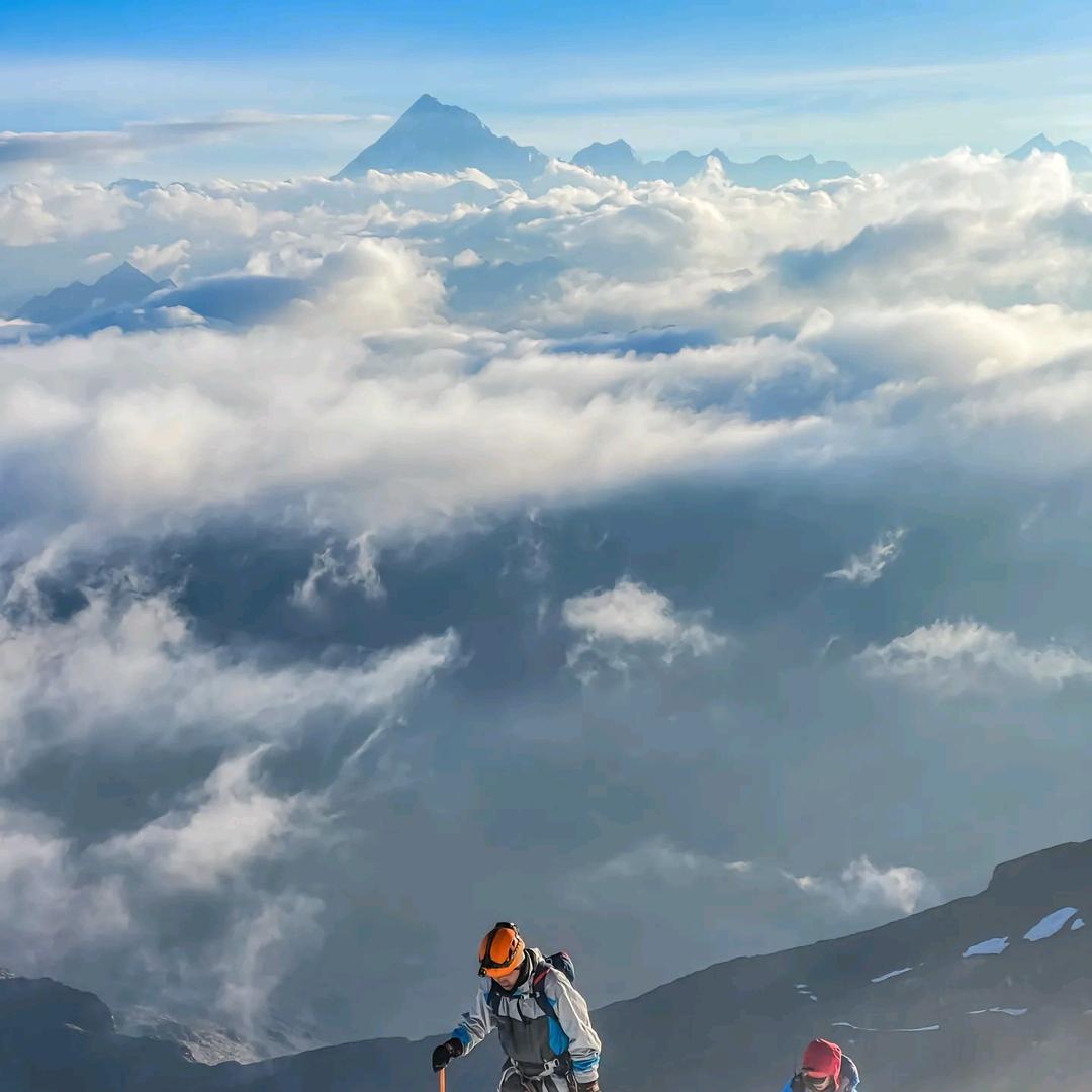天津五月花-商务纸品