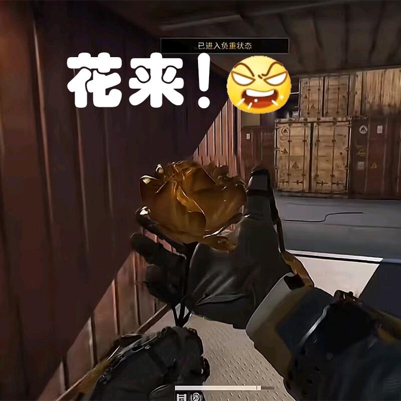 集装箱红狼