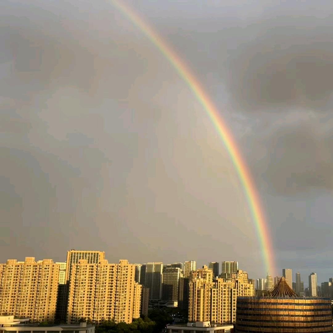 一个W（好物在橱窗）