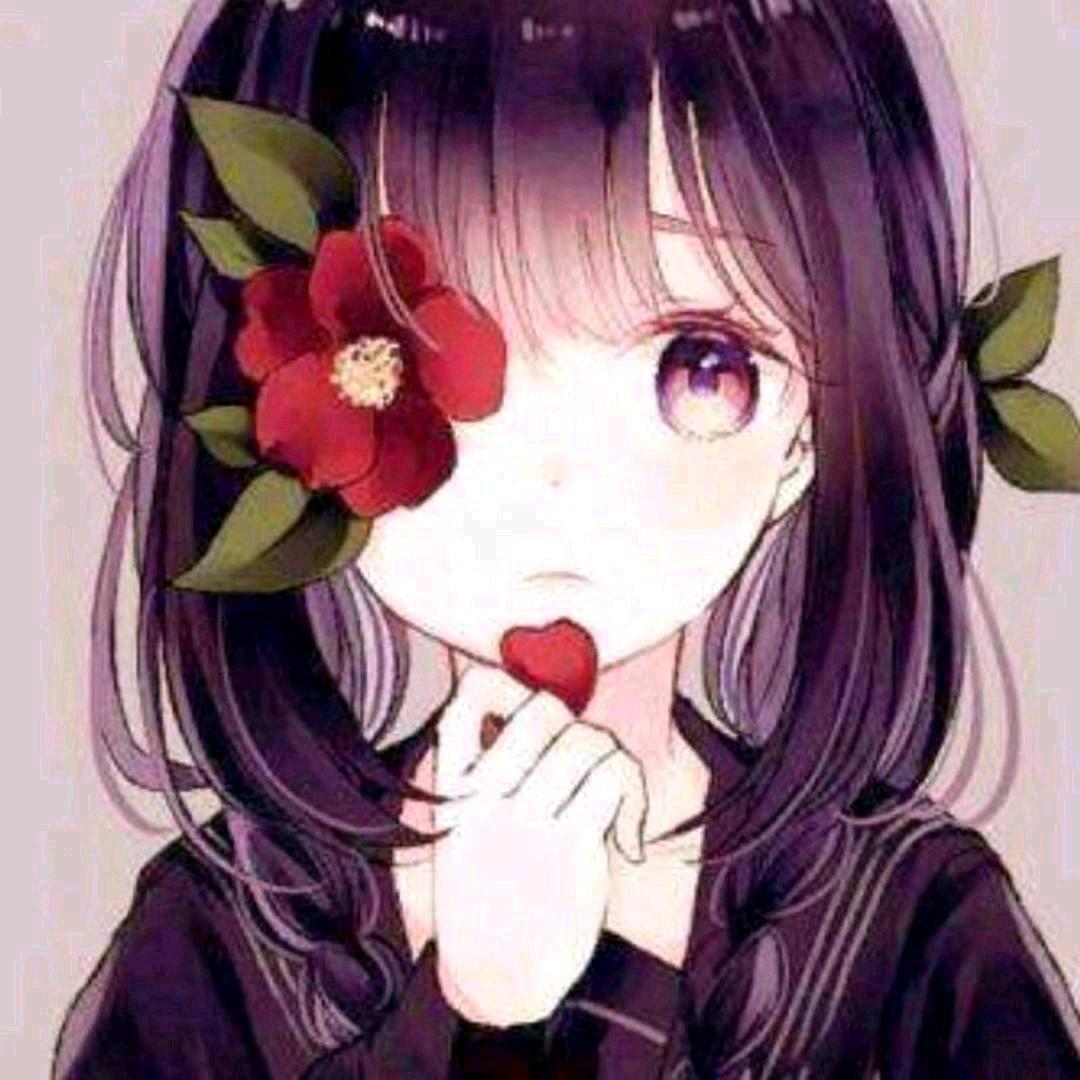 扇子有点凉Ŀ💕