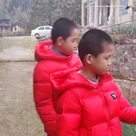 菇城林哥(梦网)