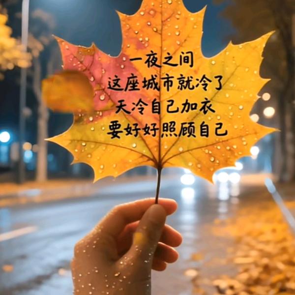$疯子放弃傻子去追骗子