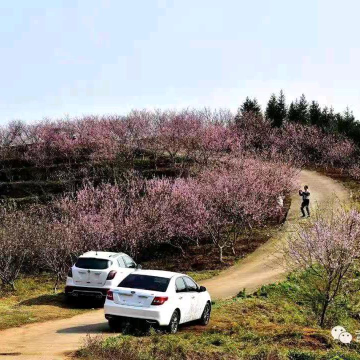 虎哥小号
