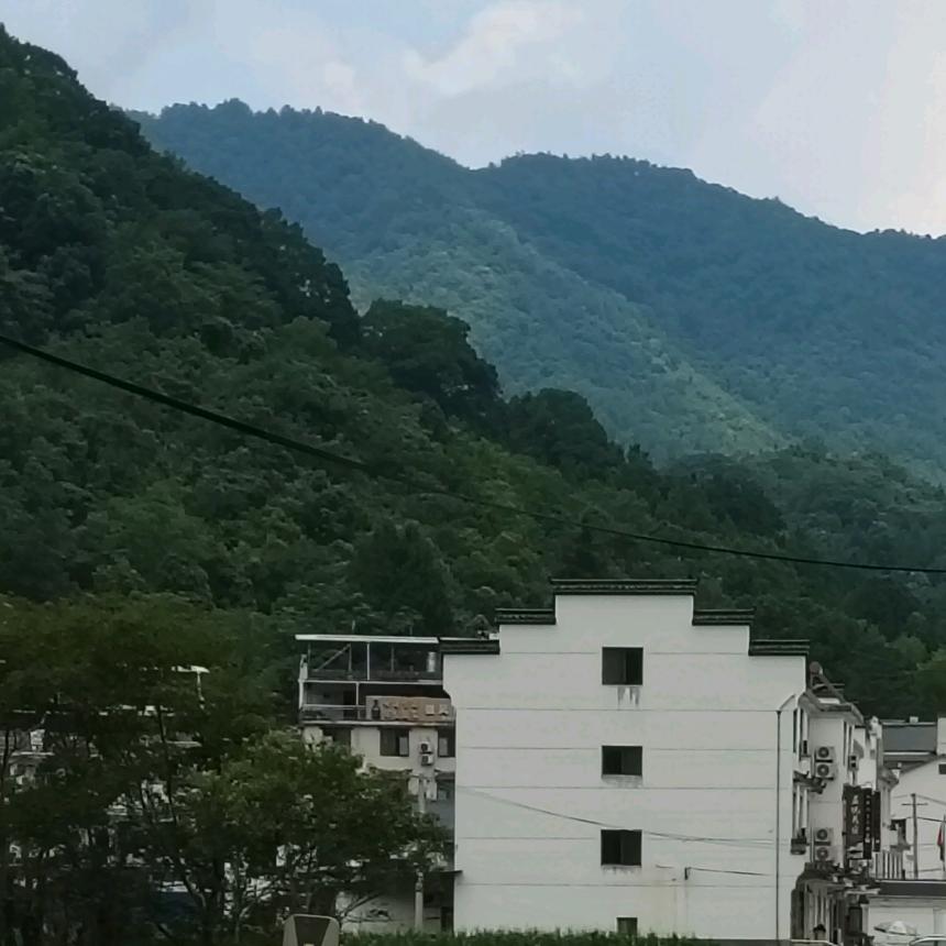 雨禾🌾