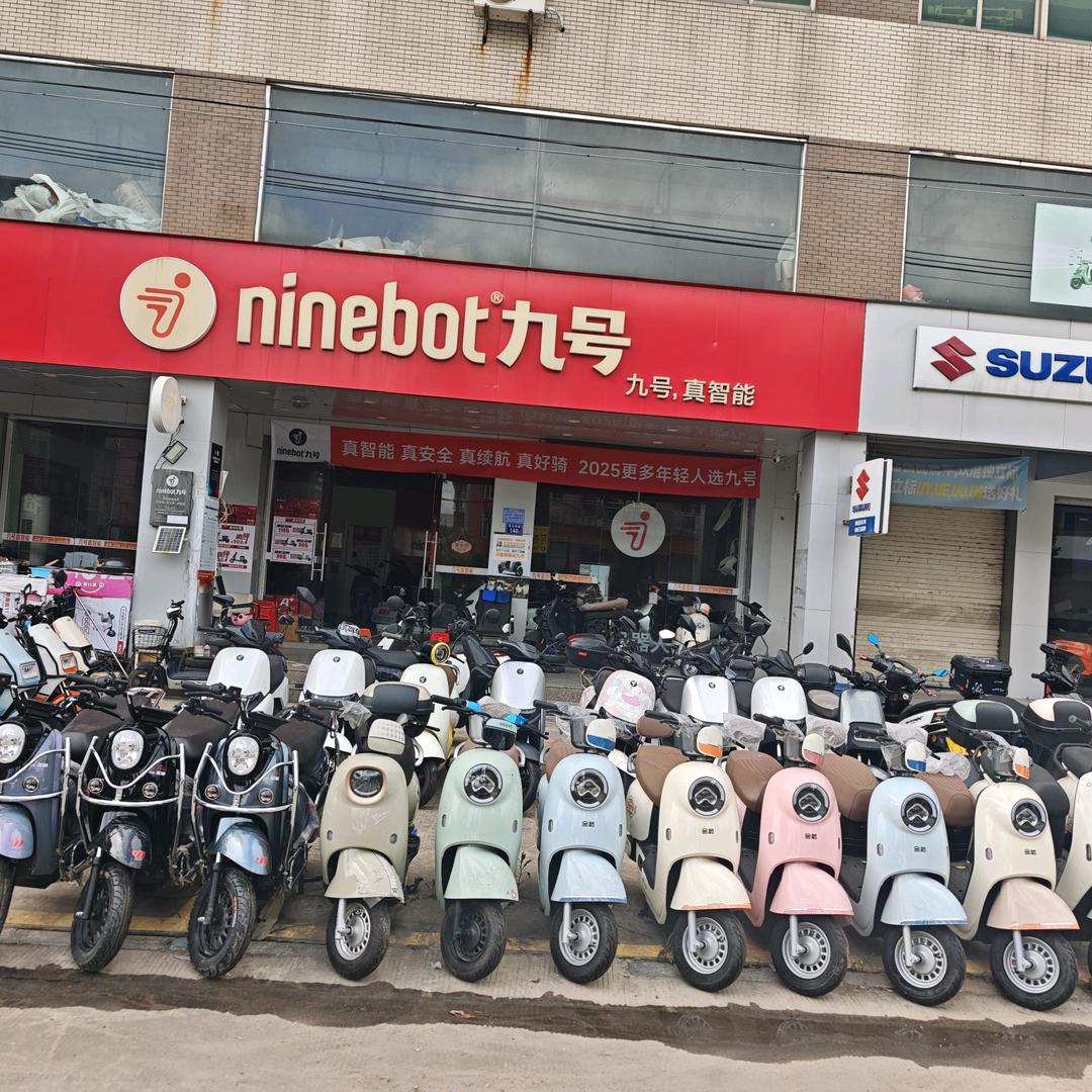 罗山后林九号电动车 张远