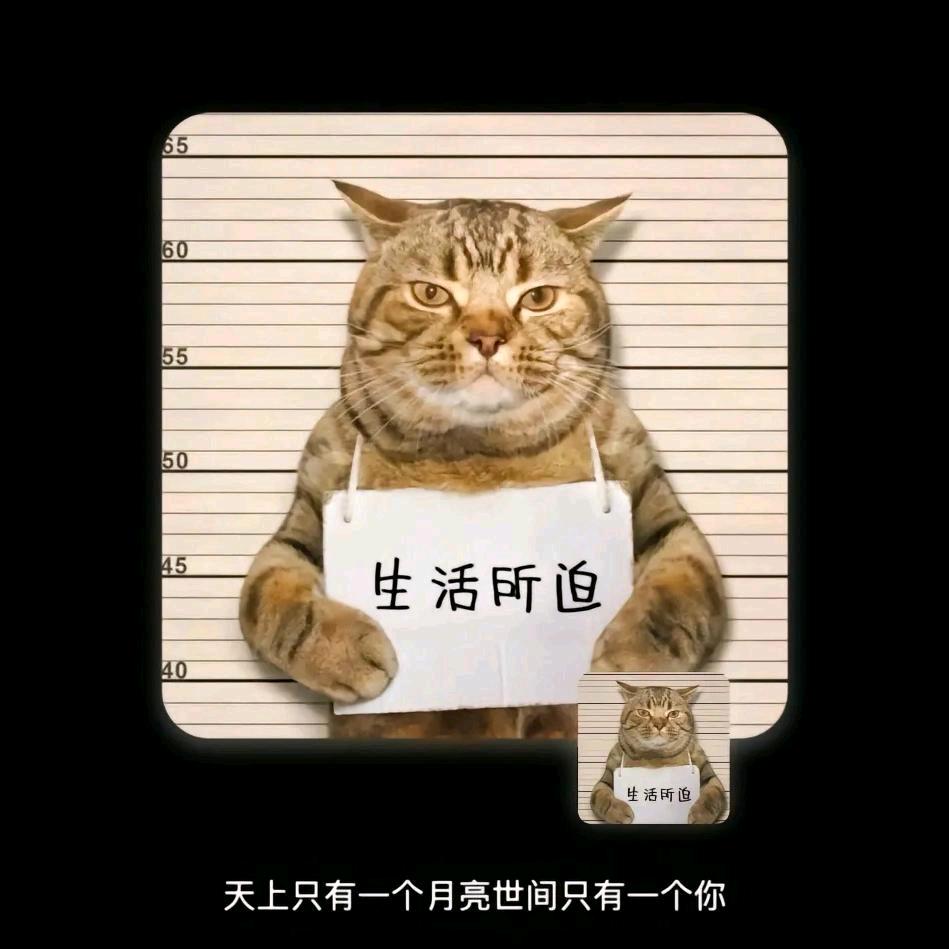做̶个̶俗̶人̶