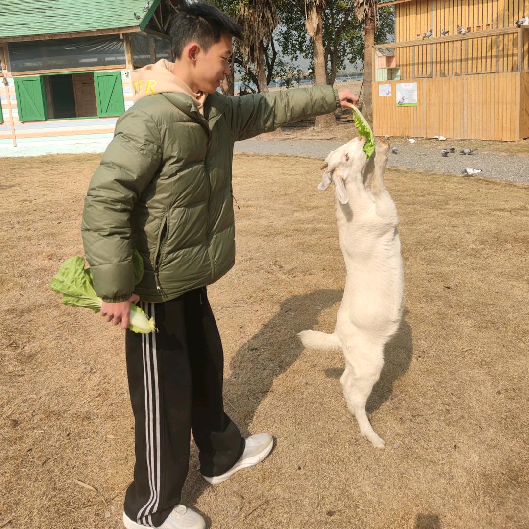 芬妮&特恩的农场生活