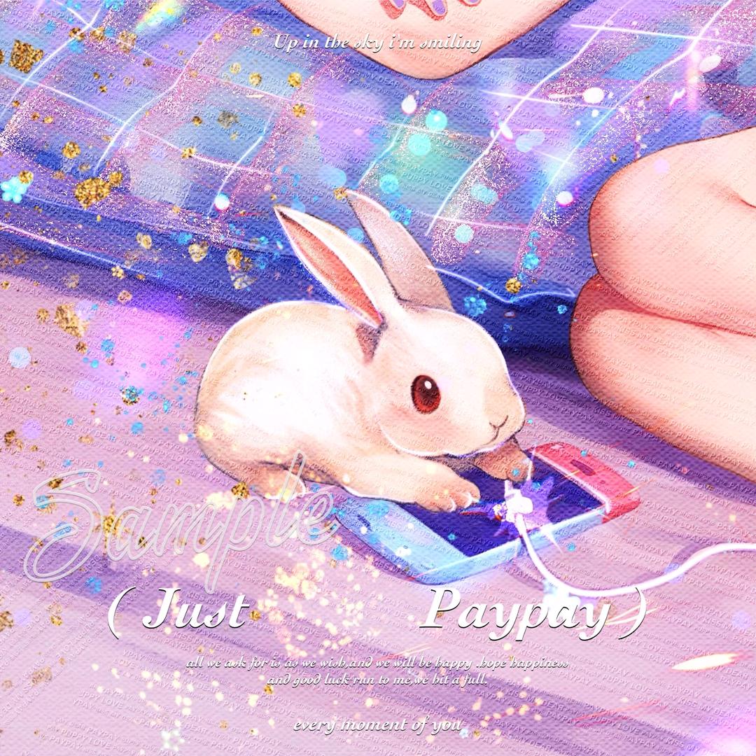 小pay脑