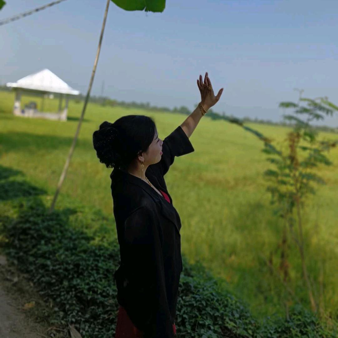 阿凤 🌿（济公茶厂烘青毛茶+炒针）