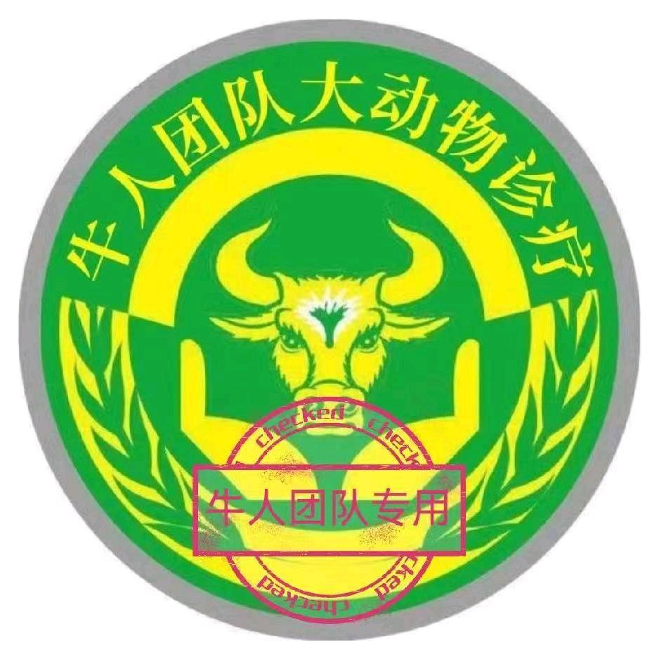 牛人团队开门红大动物针疗