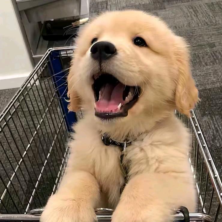 不烦！
