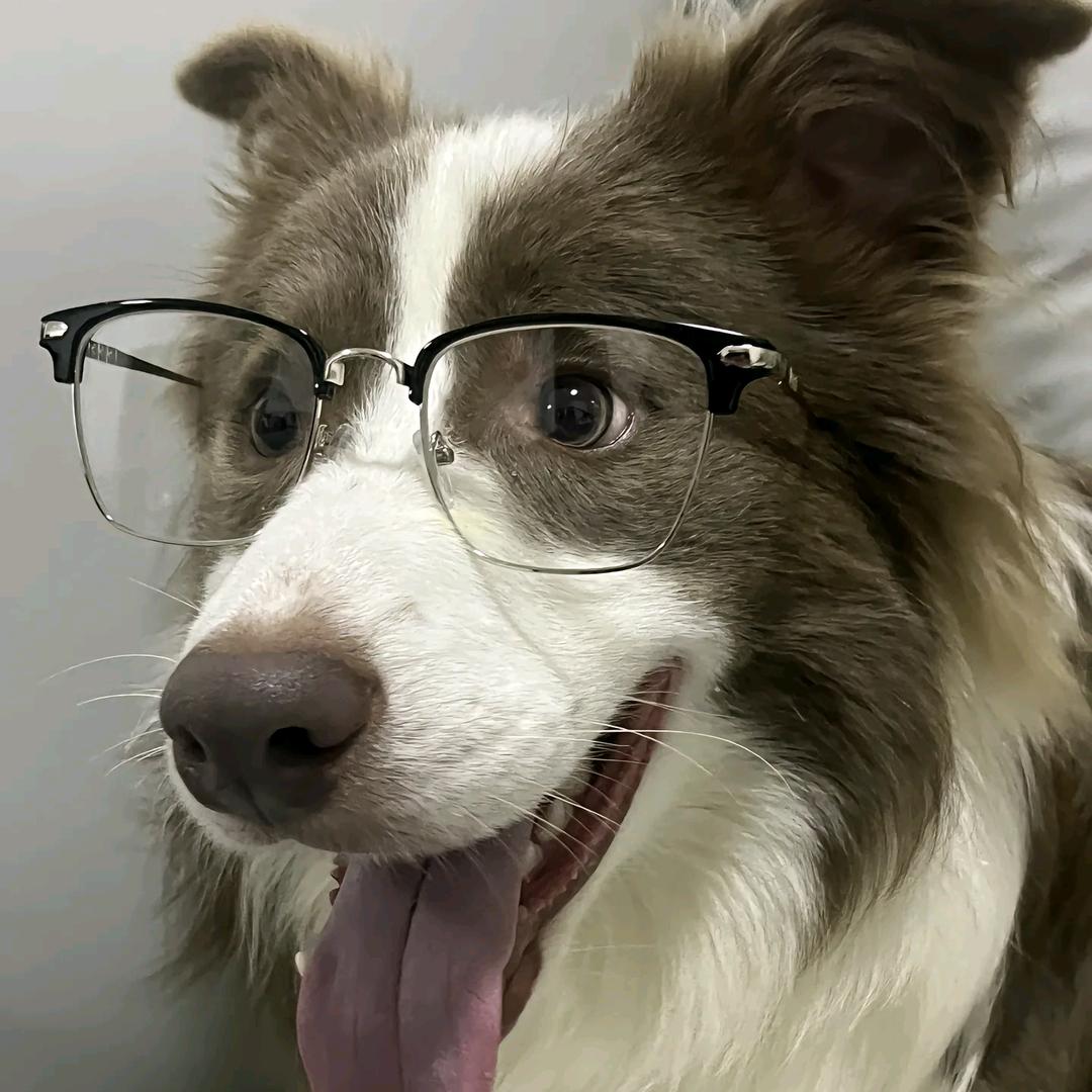 艾呦我