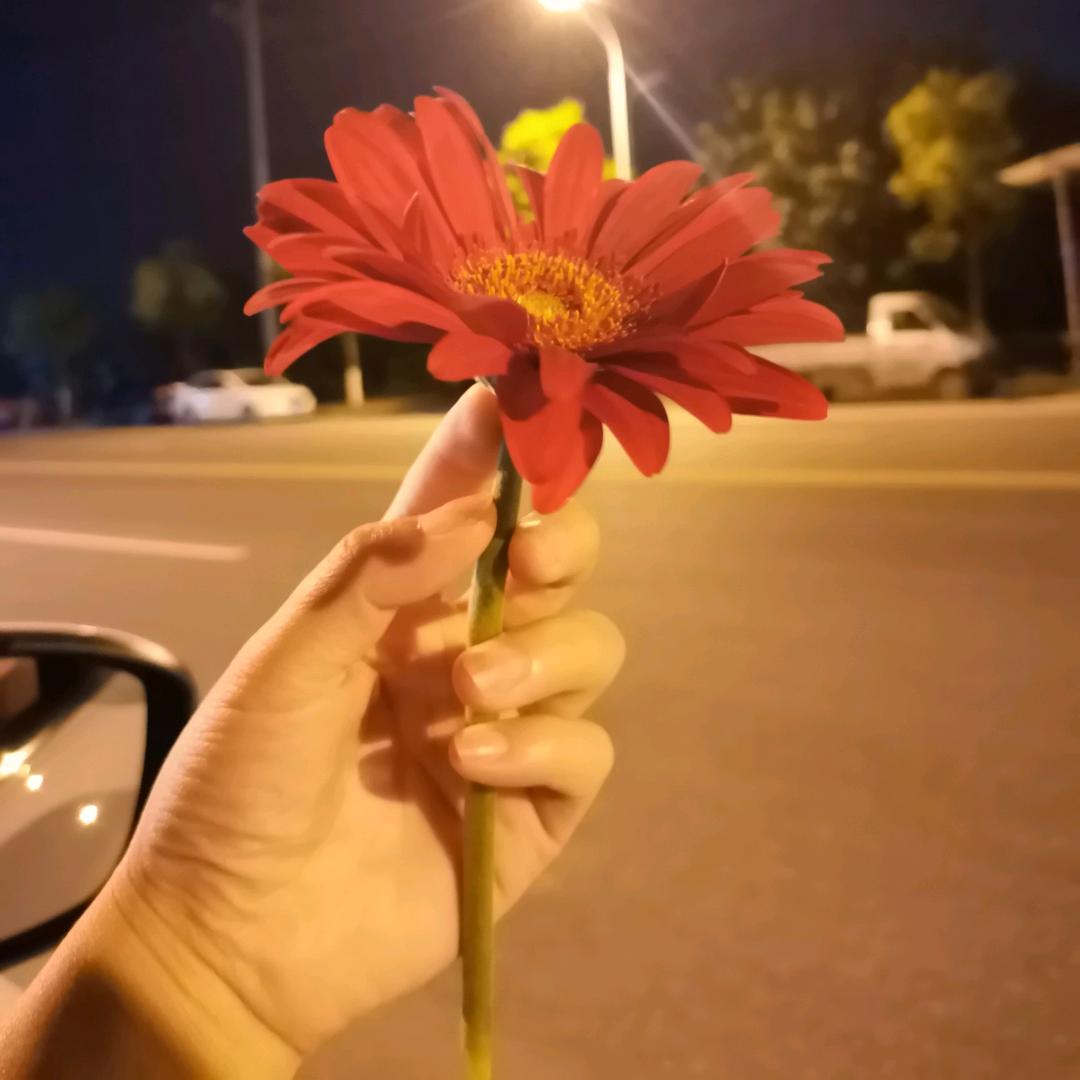 垚胖胖