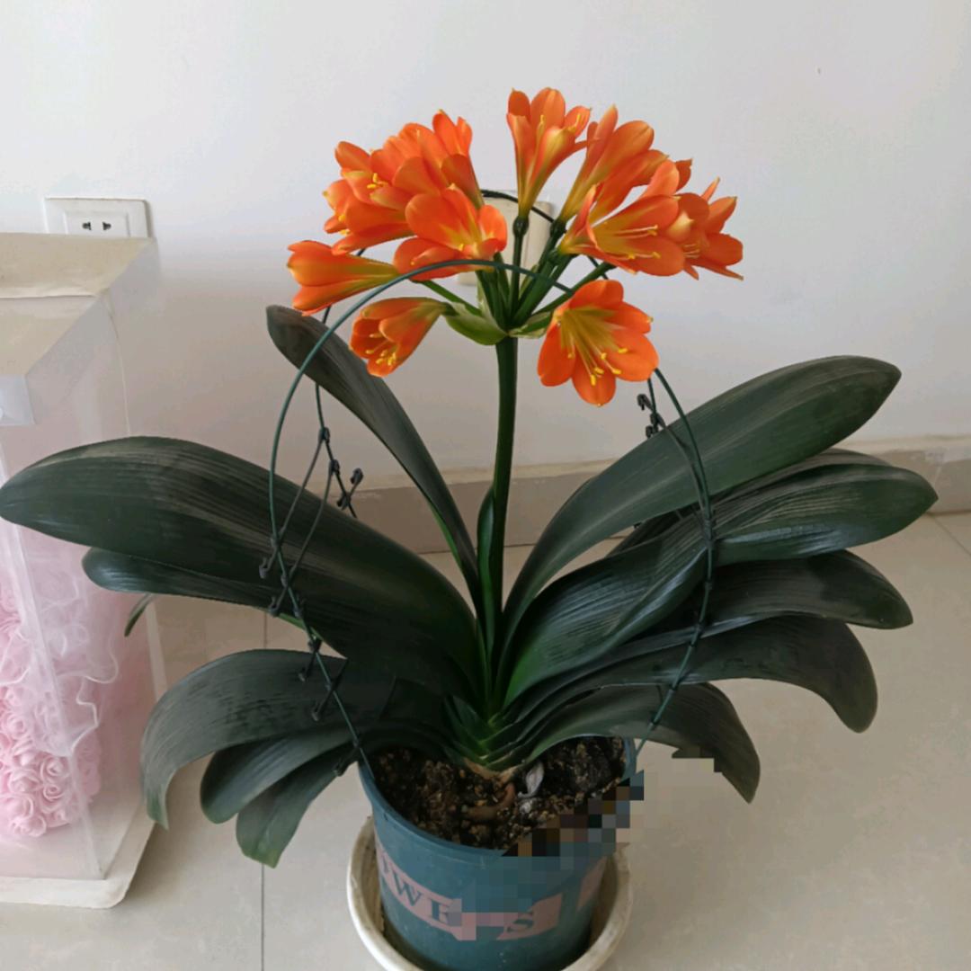 在路上小伙儿。