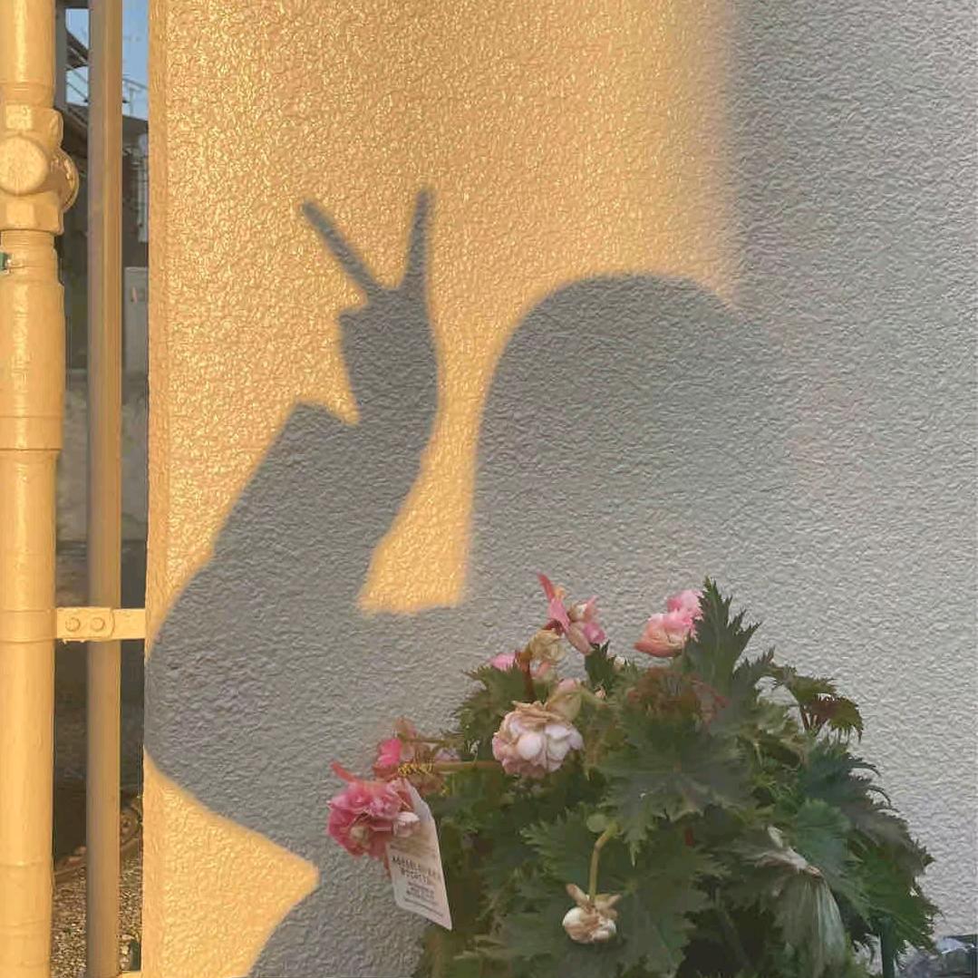 立凯租房