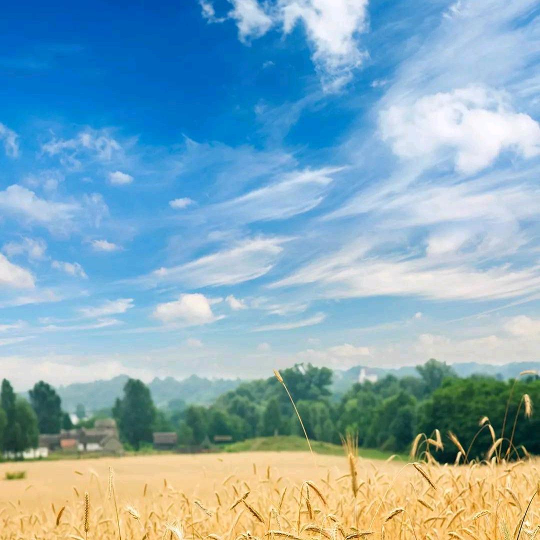 懂你的人始终懂你《拒绝私聊))凤