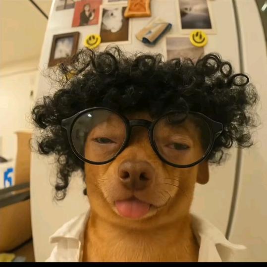 吃屎最猛的酱油色狗