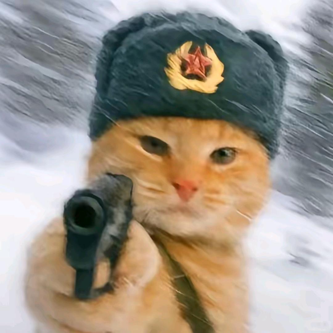 月下独酌
