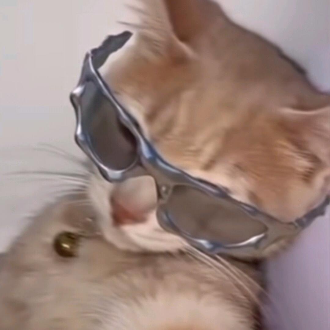 苦艾樂