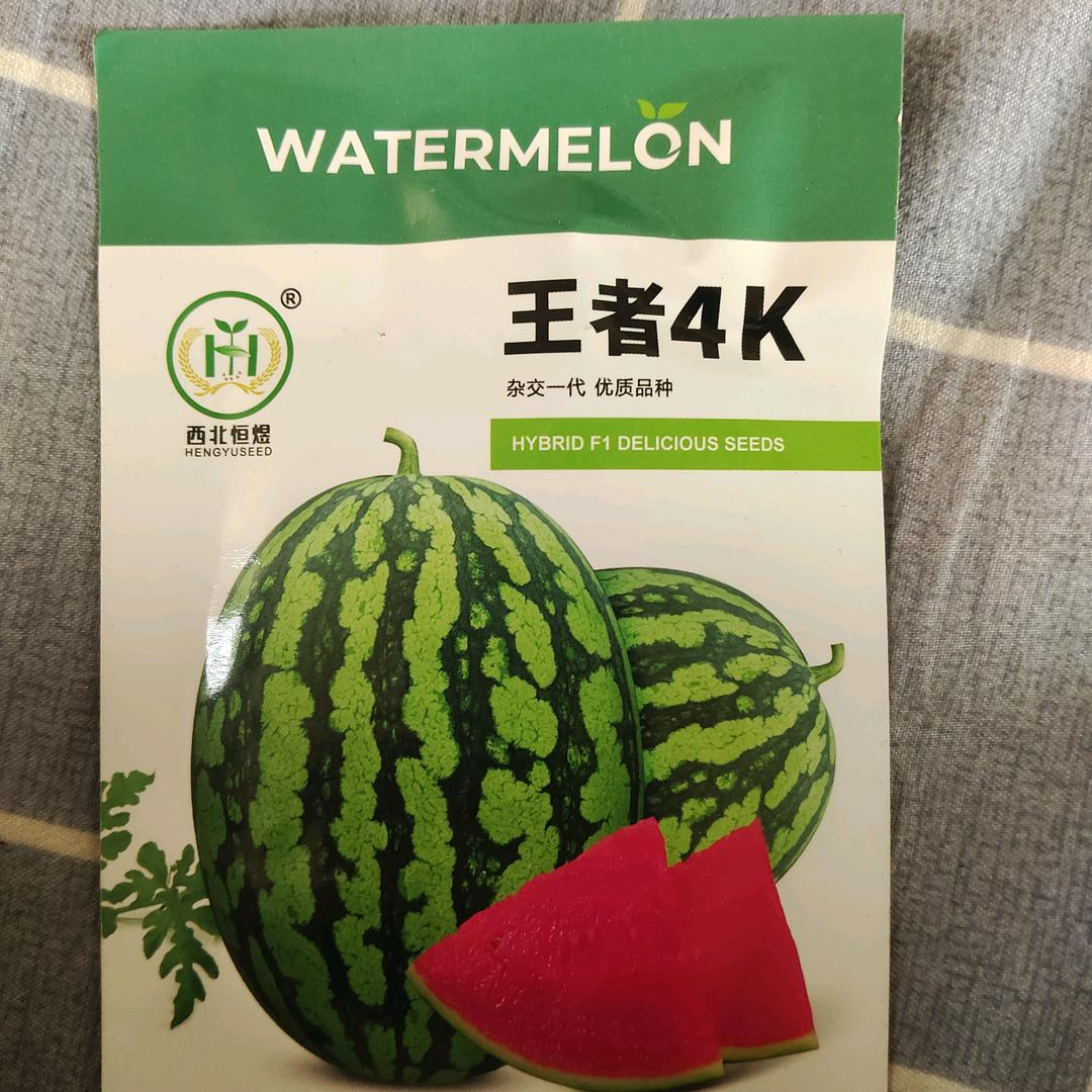 进口王者四k陕西经销商