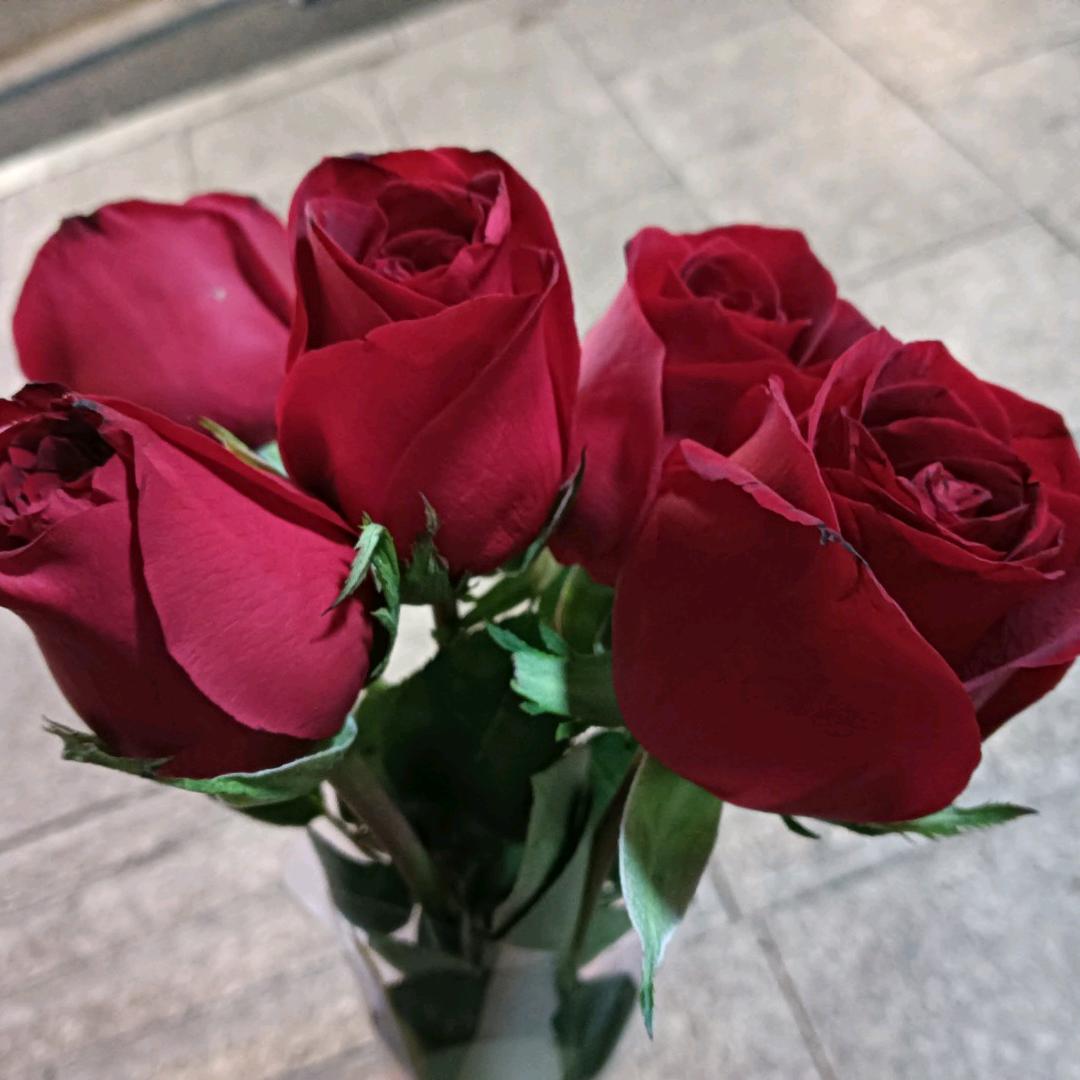 冬天的雪🌹🌹