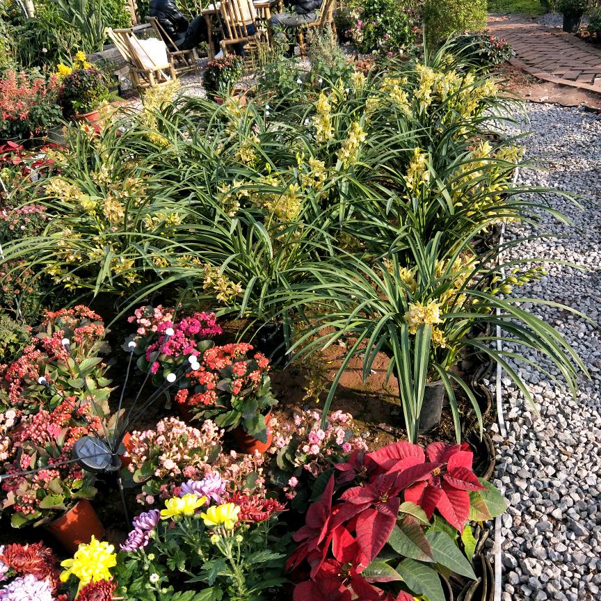 乖乖，拒绝私聊