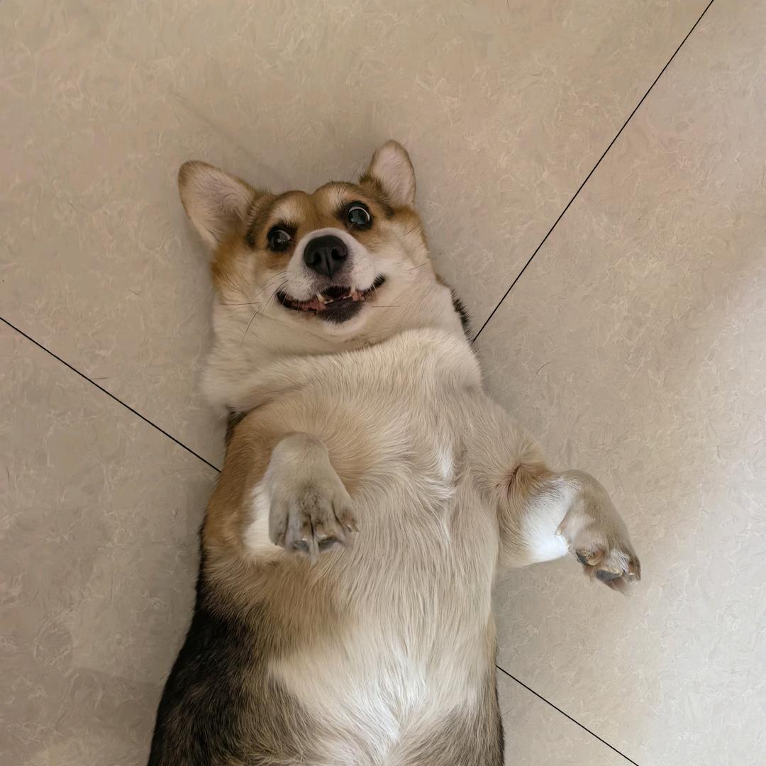 ZZZ