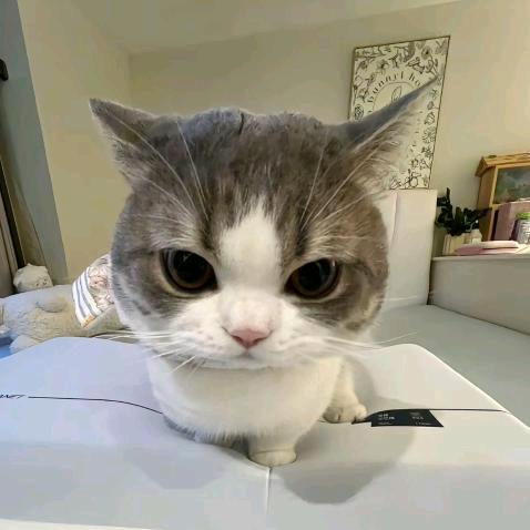 和北（地铁逃生）