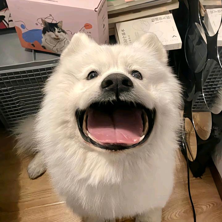咕力咕噜