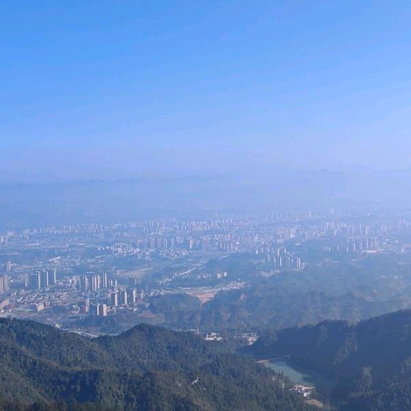 柠檬草的味道🌿