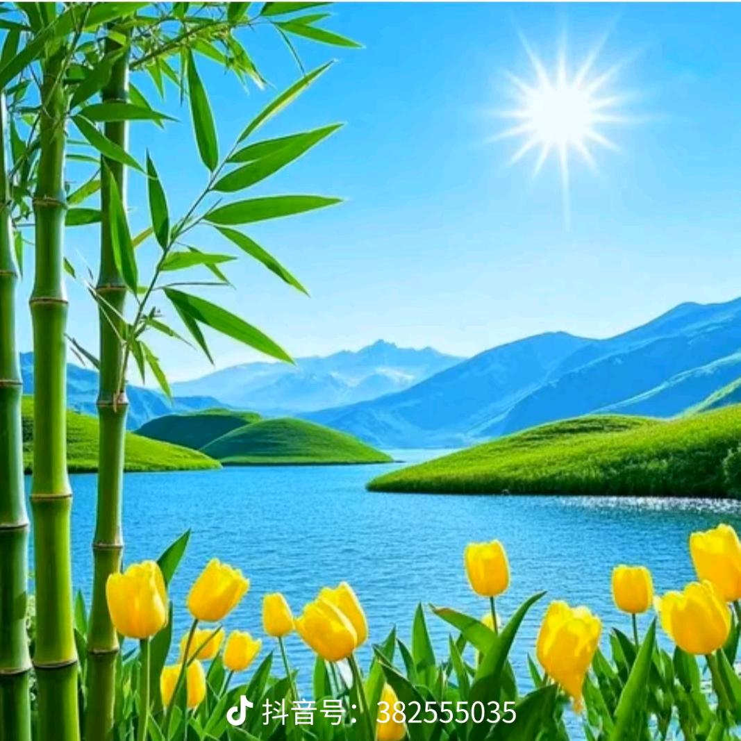 🌸🌸不念过往🌻🌻