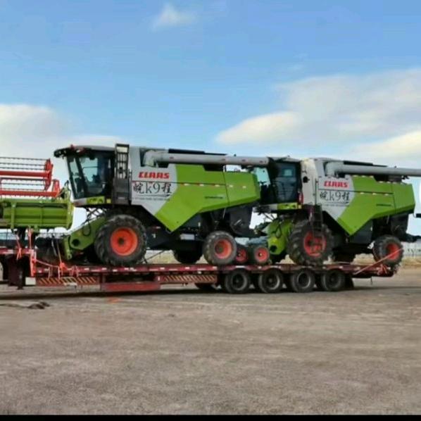 九程农业（程前粮贸）