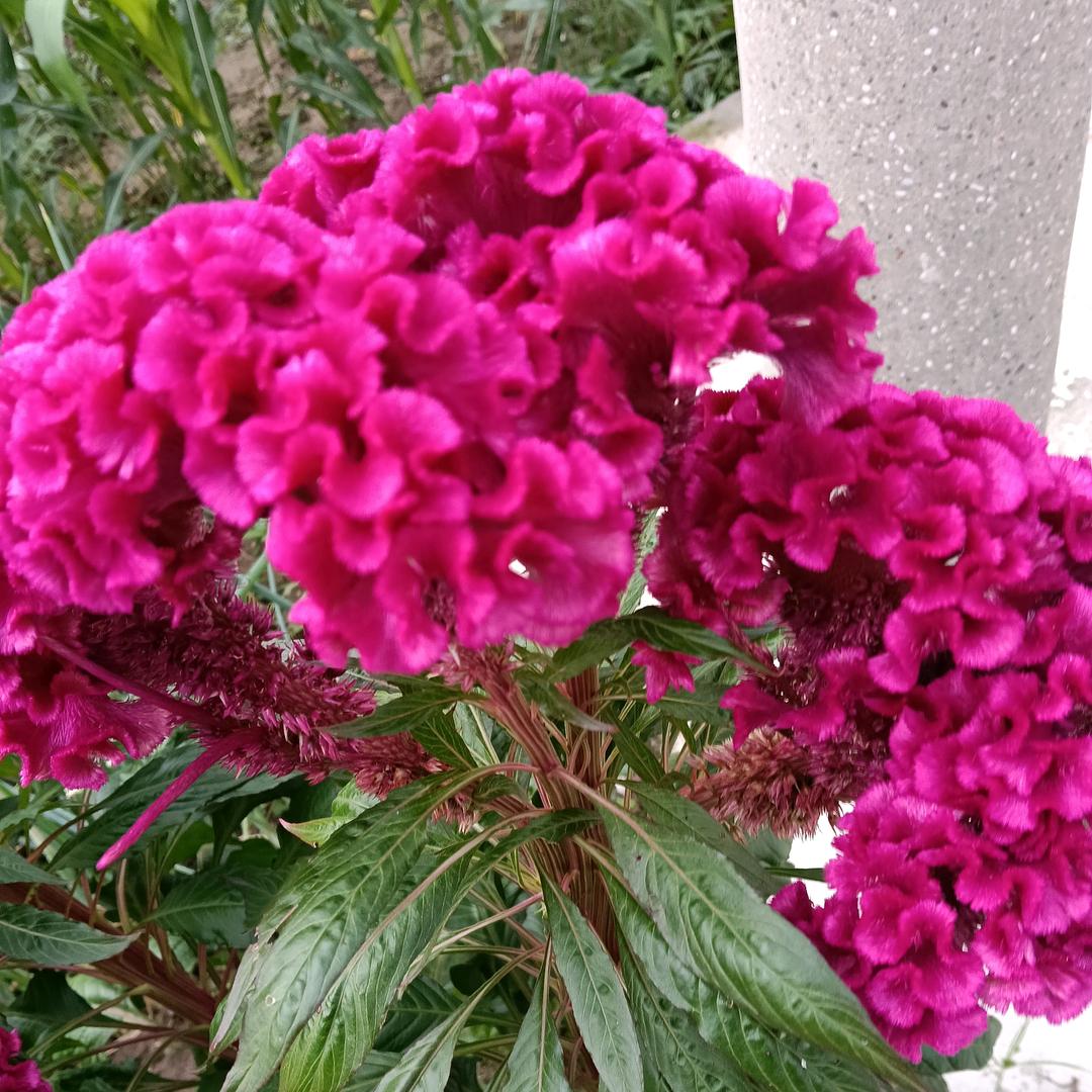 我要快乐后半生