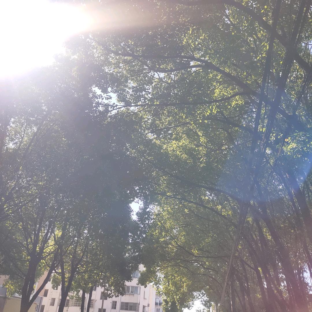 清新早安的段玉头像